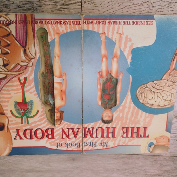 Books - Picture 3 of 6